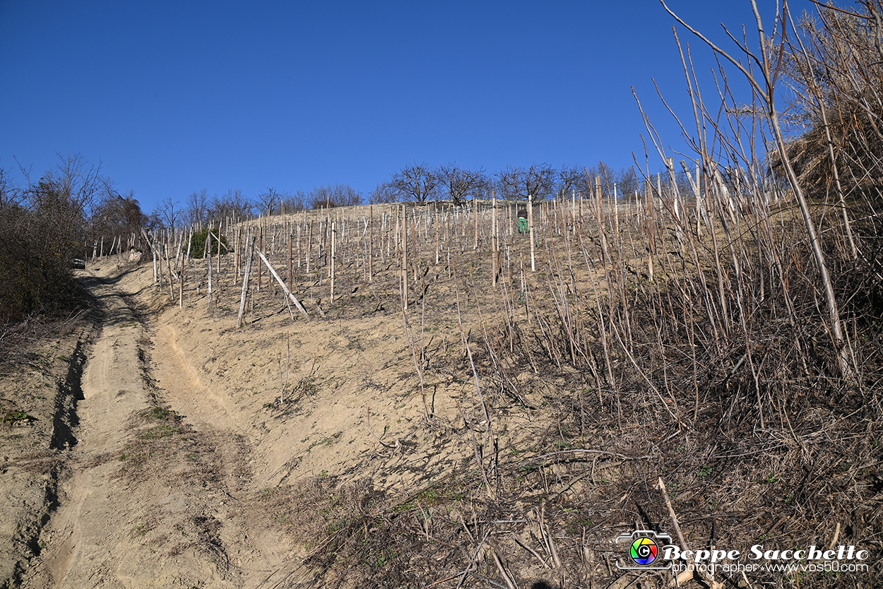 VBS_0885 - Corneliano d'Alba.jpg